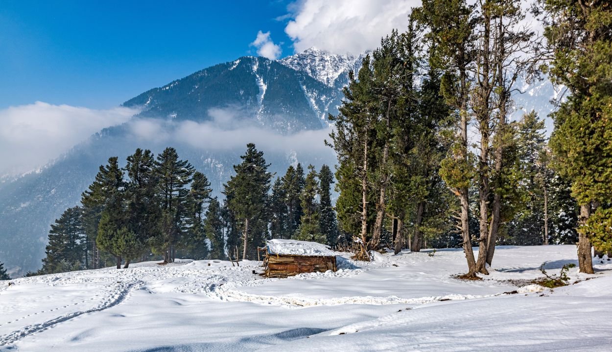 Kashmir Honeymoon Package